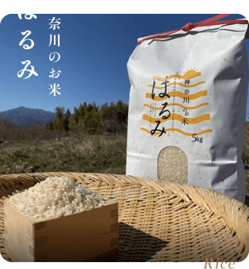 神奈川のお米 はるみ