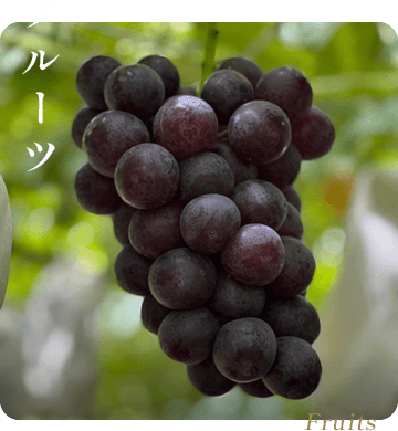 フルーツ
