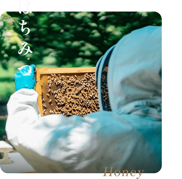 はちみつ