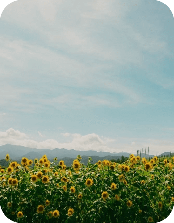 霜島農園イメージ2