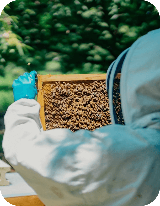 霜島農園イメージ3